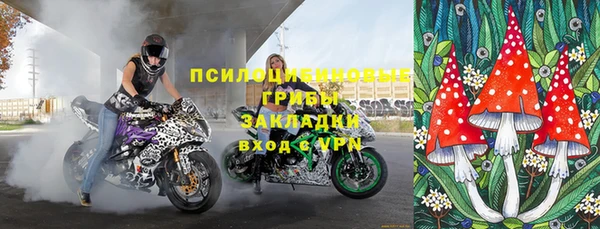 винт Арсеньев